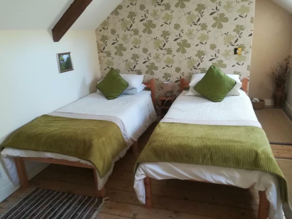 Bed and Breakfast Y Garreg Wen à Llanybyther Extérieur photo